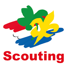 Scout Online
